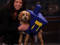 Jimmy Kimmel Live - Dreidel Dog