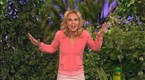 Elisabeth Hasselbeck: Camouflage