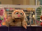 Preschool Musical