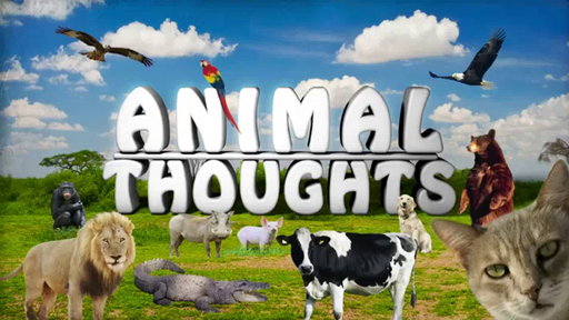 Animal Thoughts