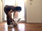 Touching Monkey's Hole