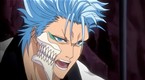 Bleach: Bleach 116 (season 6, episode 116)