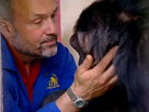 Monkey Life Episode 15