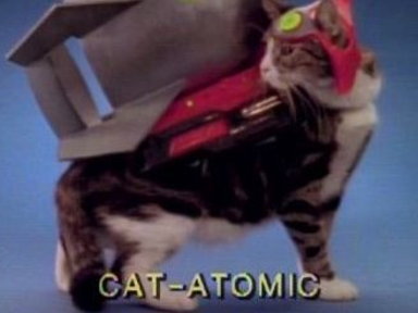 Action Cats