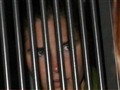 NBC TODAY Show - Amanda Knox Speaks Out from Italian Jail