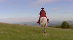 play video on Hulu Plus