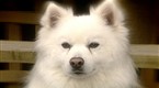 146977_145x80_generated