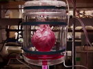 How to Build a Beating Heart 