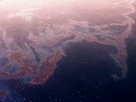 Can the Gulf Survive?