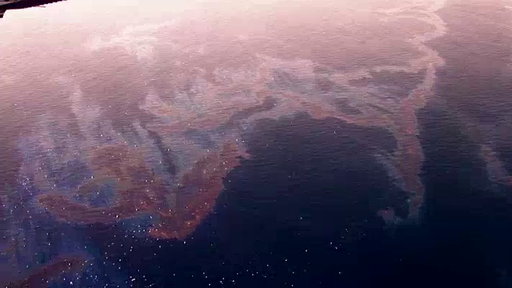 Can the Gulf Survive?