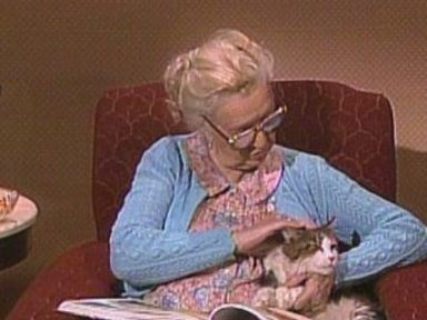 Kitty Bible Video
