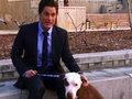 play video on iVillage