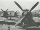 Kamikaze
