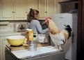 A Fowl Episode picture