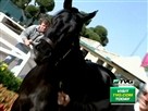 Schooling