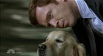 Life: Did You Ask The Dog?