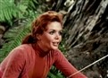 Brainwash picture