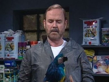 Dead Parrot Video