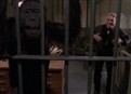 Jake's Zoo picture