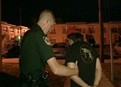 Well, I'm Busted, Aren't I? picture