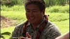 Guest Judge Alan Wong's Luau - Part 1