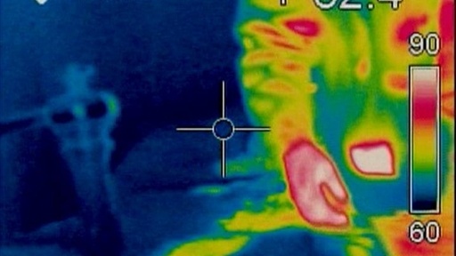 is kristen wilson white 