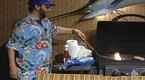 The Captain and Casey Show