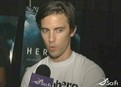 Milo Ventimiglia picture