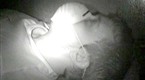 Ghost Hunters Academy: The Morgue