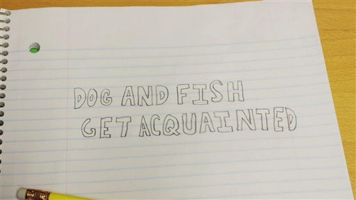 Dog and Fish Get Acquainted: Episode 3