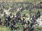 Dinka: Legendary Cattle Keepers of Sudan