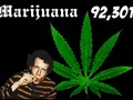 High: The True Tale of American Marijuana