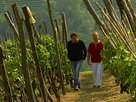 Where Barolo Reigns It Pours
