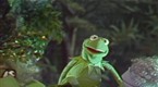 Sesame Street: Kermit Sings Disco Frog