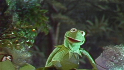 Kermit Sings Disco Frog