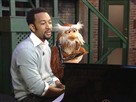 Sesame Street, Part 5