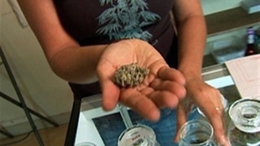 The Fall of California's Prop 19 Video