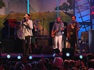 Edward Sharpe and the Magnetic Zeros