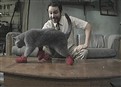 Paddy's Pub: Home of the Original Kitten Mittens picture