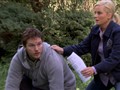 The Possum