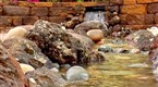 Yard Crashers: Tropical Pond Oasis (season 3, episode 9)