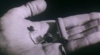 Cover Up: Norway's Nazi Secret