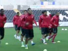 Swiss Face Vital Wales Game
