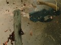 Gruesome Attack
