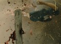 Gruesome Attack