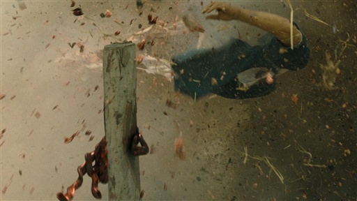 Gruesome Attack