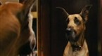 175963_145x80_generated