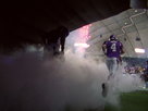 2009 Minnesota Vikings