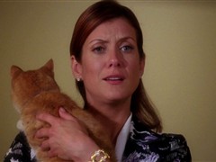 Private Practice: S03E06: 'Slip Slidin' Away'