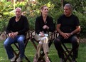 play video on Hulu